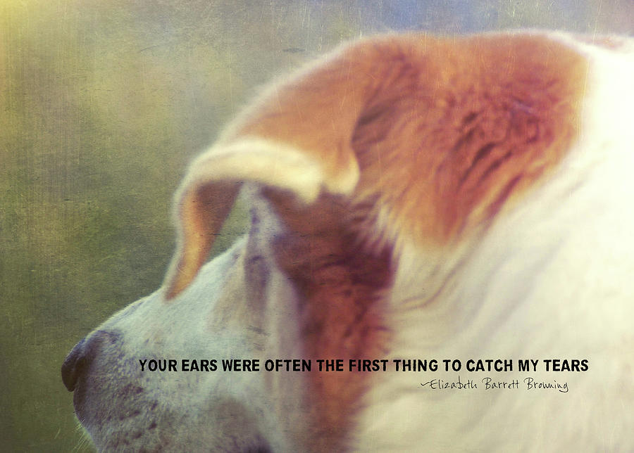 Canine Salvation Quote Photograph