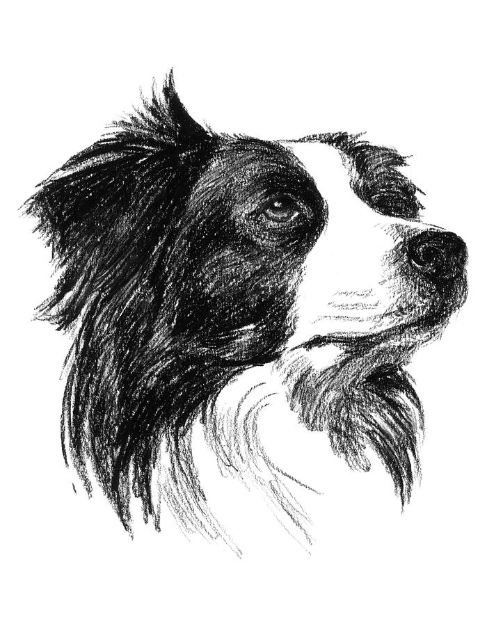 Canine Study I Painting by Ethan Harper