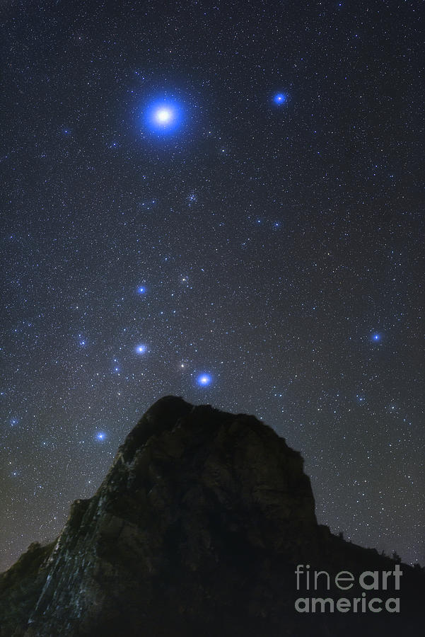 Canis Major Constellation Over A Hill Photograph by Miguel Claro/science Photo Library