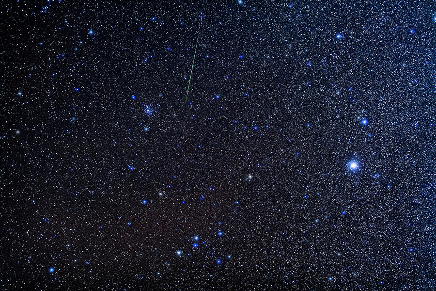 Canis Minor Constellation Photograph by Alan Dyer