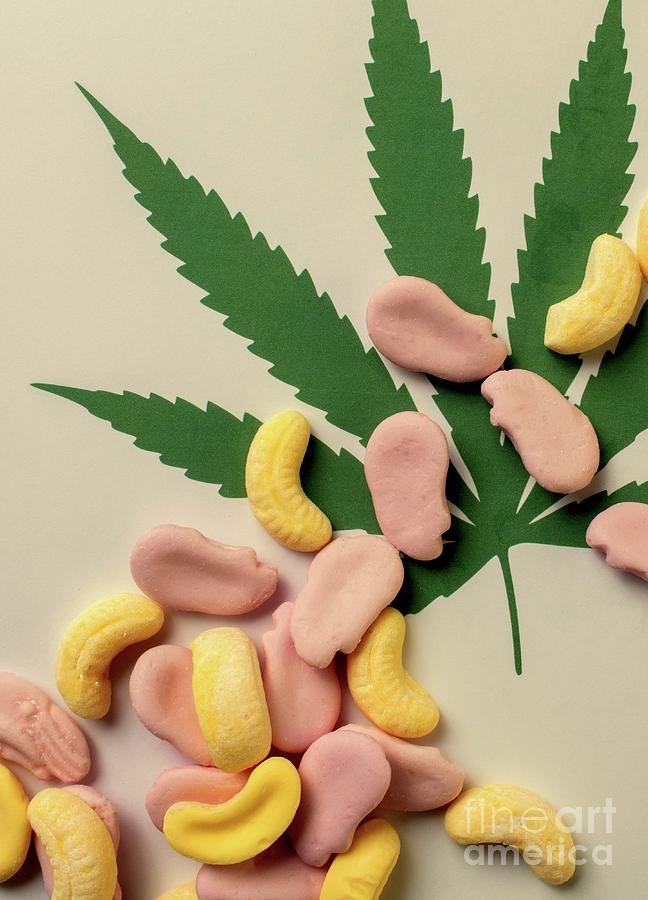 Cannabis Infused Foam Sweets Photograph by Science Photo Library Cannabis Infused Foam Sweets Photograph by Science Photo Library