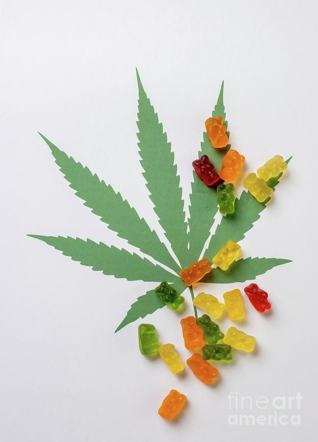 Cannabis Infused Gummy Bears Photograph by Victor Habbick Visions/science Photo Library