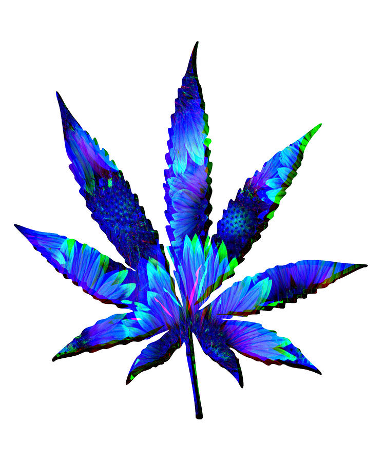 Cannabis Rainbow Design 105 Digital Art By Lin Watchorn - Fine Art America