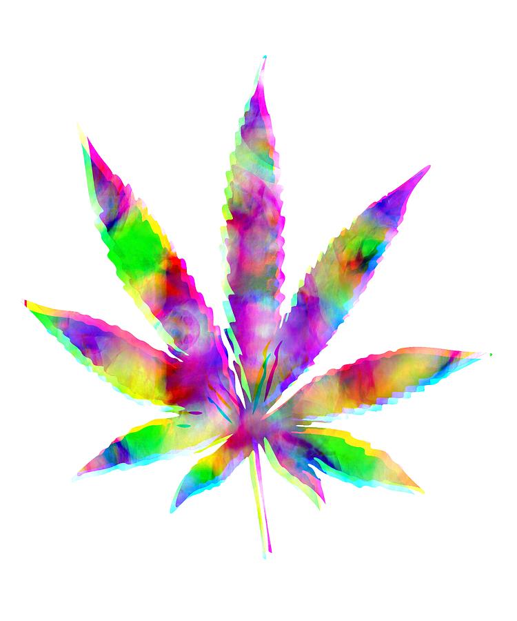 Cannabis Rainbow Design 123 Digital Art By Kaylin Watchorn