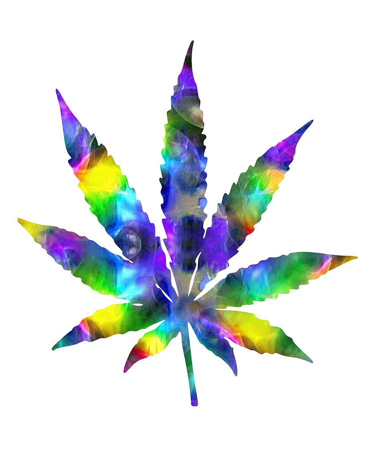 Cannabis Rainbow Design 124 Digital Art by Kaylin Watchorn