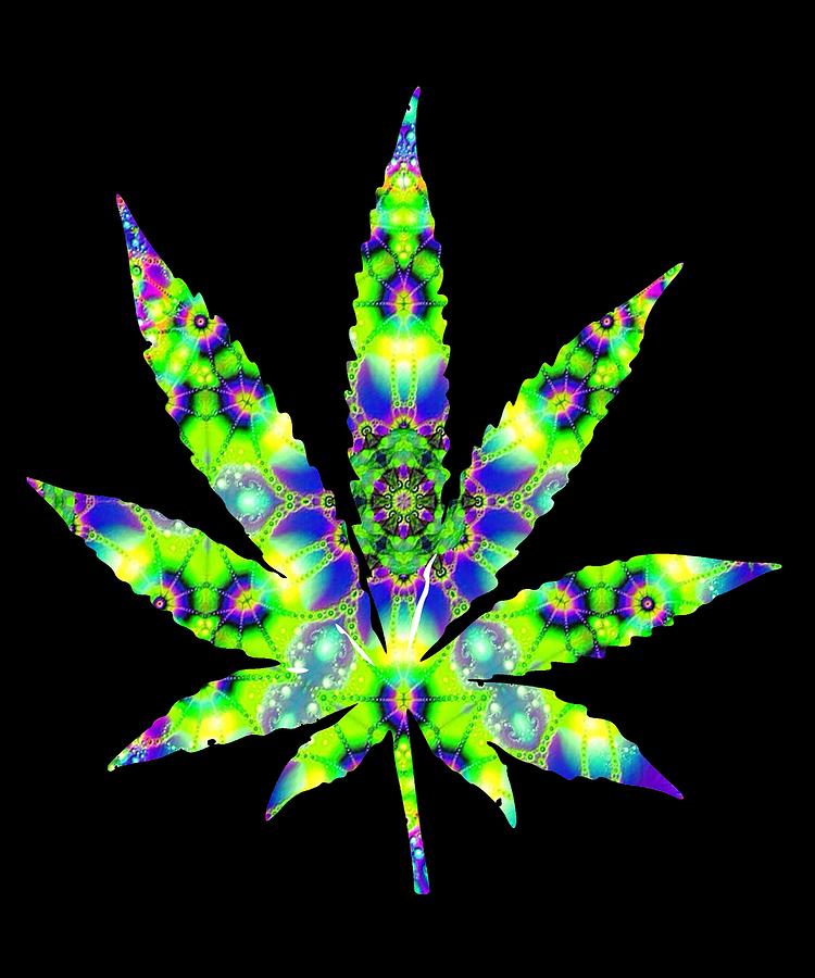 Cannabis Rainbow Design 40 Digital Art by Kaylin Watchorn