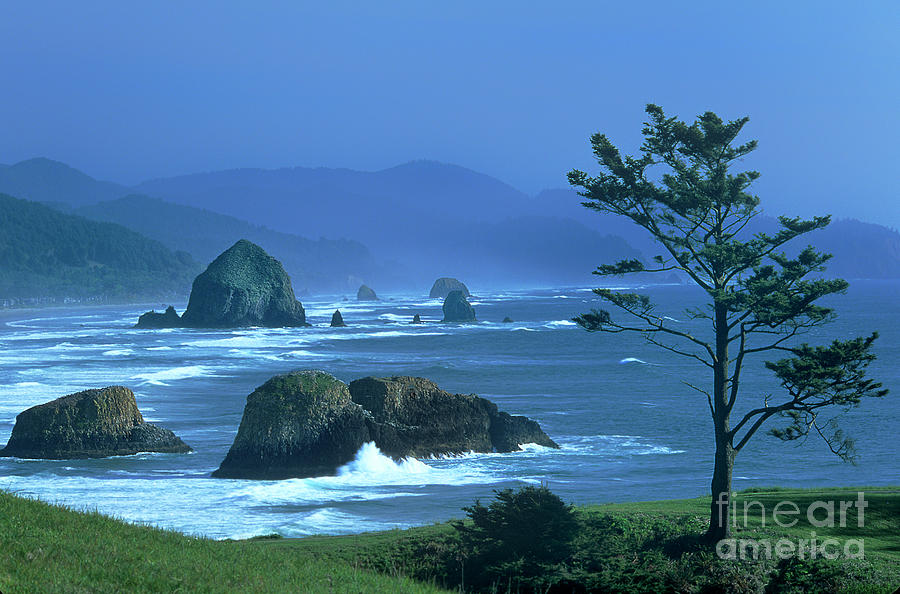Cannon Beach And Haystack Rock Ecola State Beach Oregon Photograph by Dave Welling