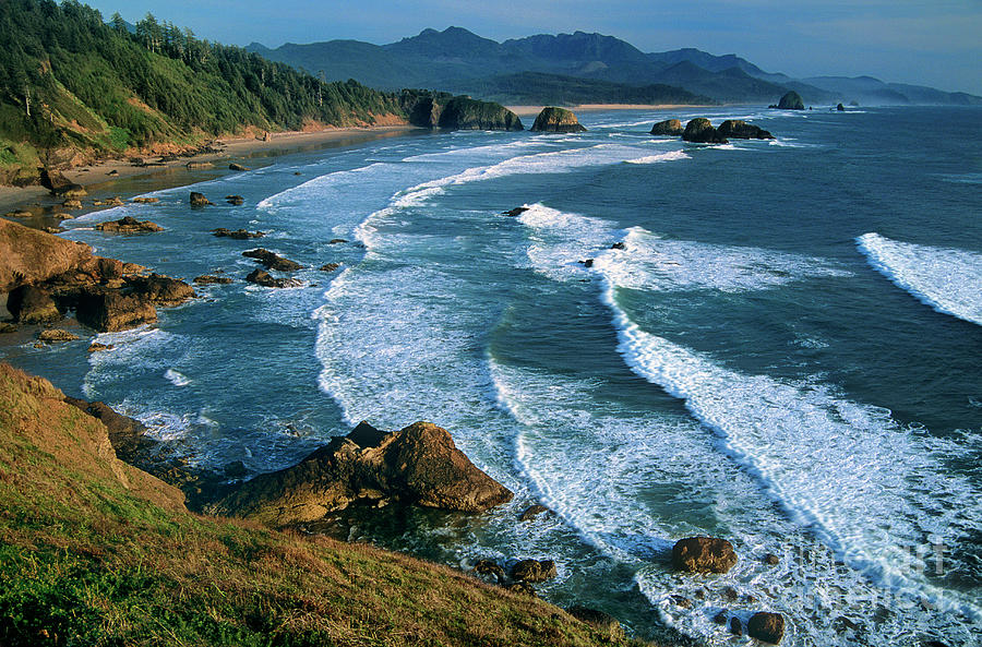 Cannon Beach From Ecola State Beach Overlook Oregon Photograph by Dave Welling