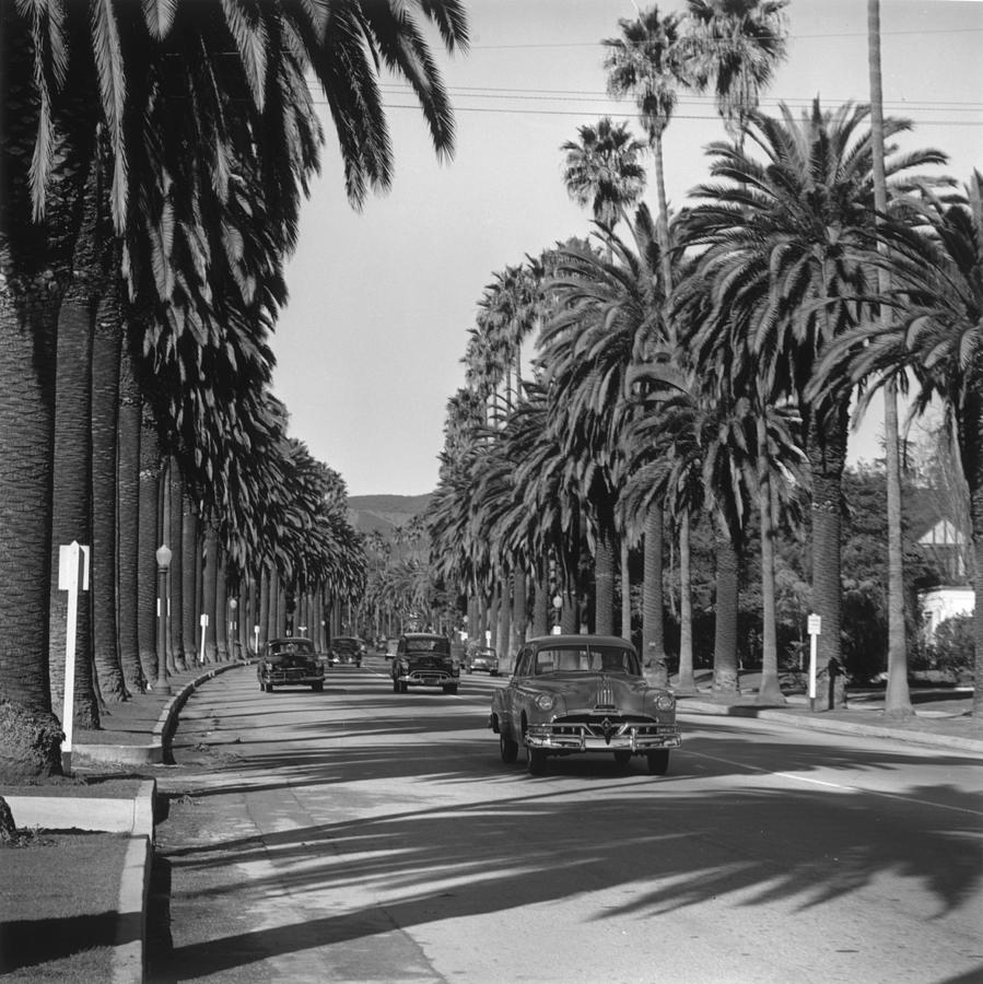 Cannon Drive Photograph by Slim Aarons Cannon Drive Photograph by Slim Aarons