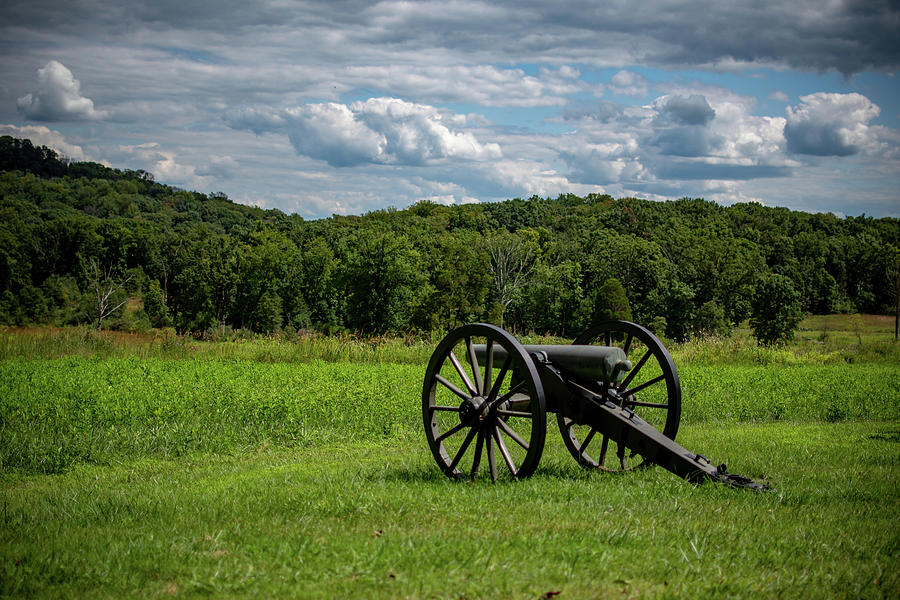 Cannon in the Meadow Photograph by Rose Guinther