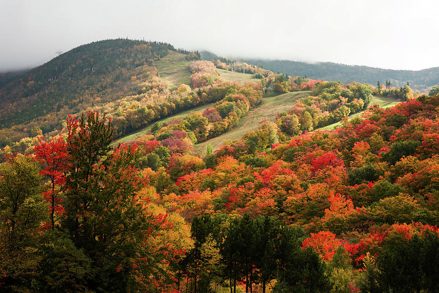 Cannon Mountain fall foliage Photograph by Jeff Folger