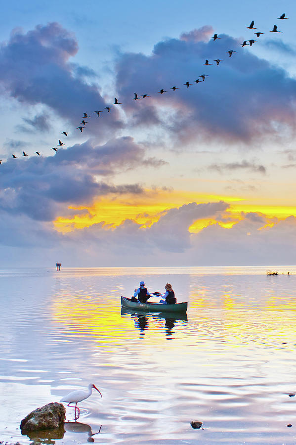 Canoers on Biscayne Bay  Photograph by Edgar Estrada