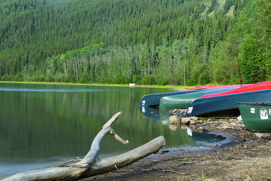Canoes Were Deposited On The Banks Of The Yukon River. Yukon Territory; Canada; Photograph by Myriam Brunner