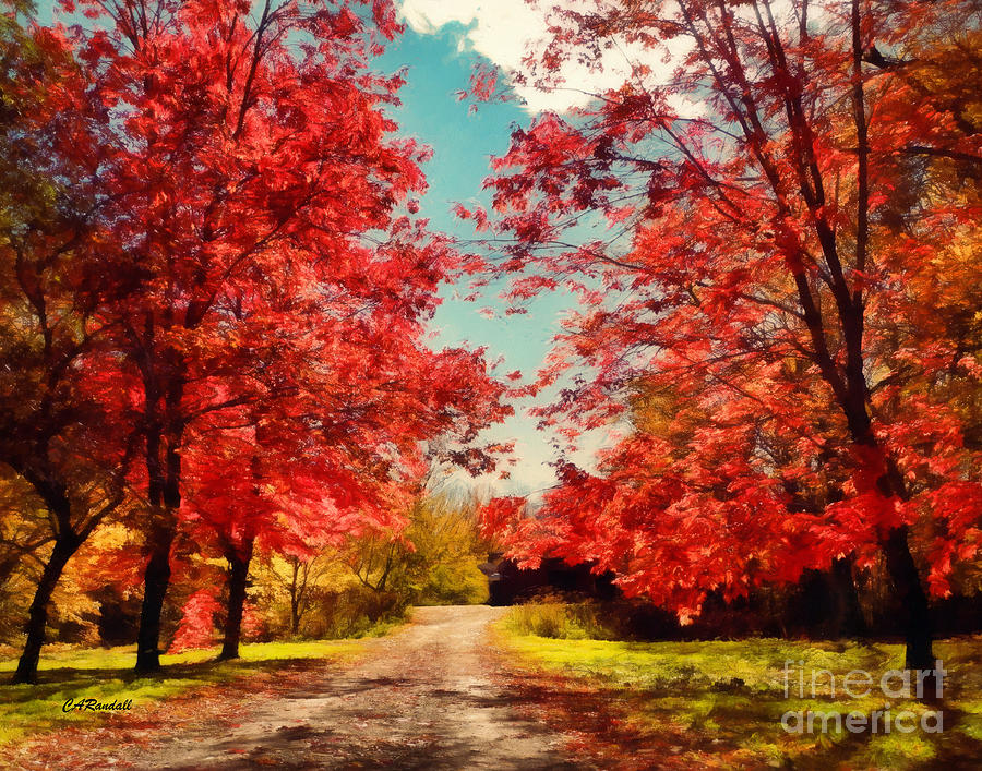 Autumns Canopy of Red Photograph by Carol Randall