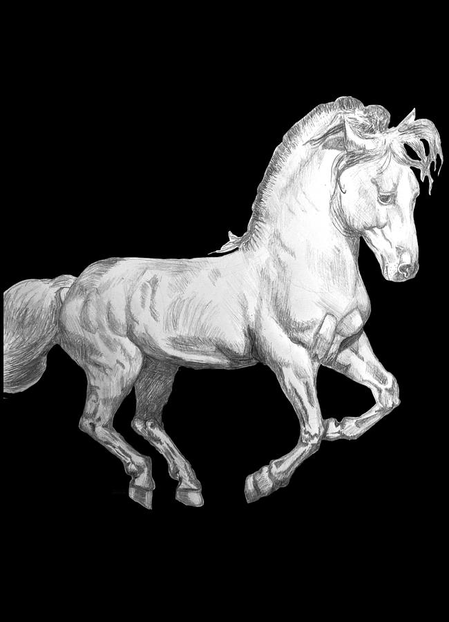 Cantering Horse Drawing by Equus Artisan