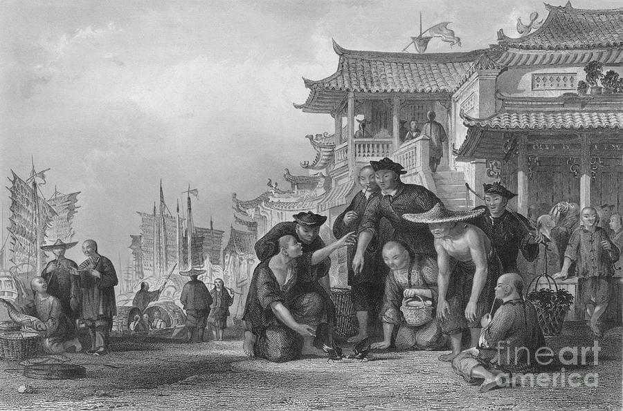 Canton Barge-men Fightng Quails Drawing by Print Collector