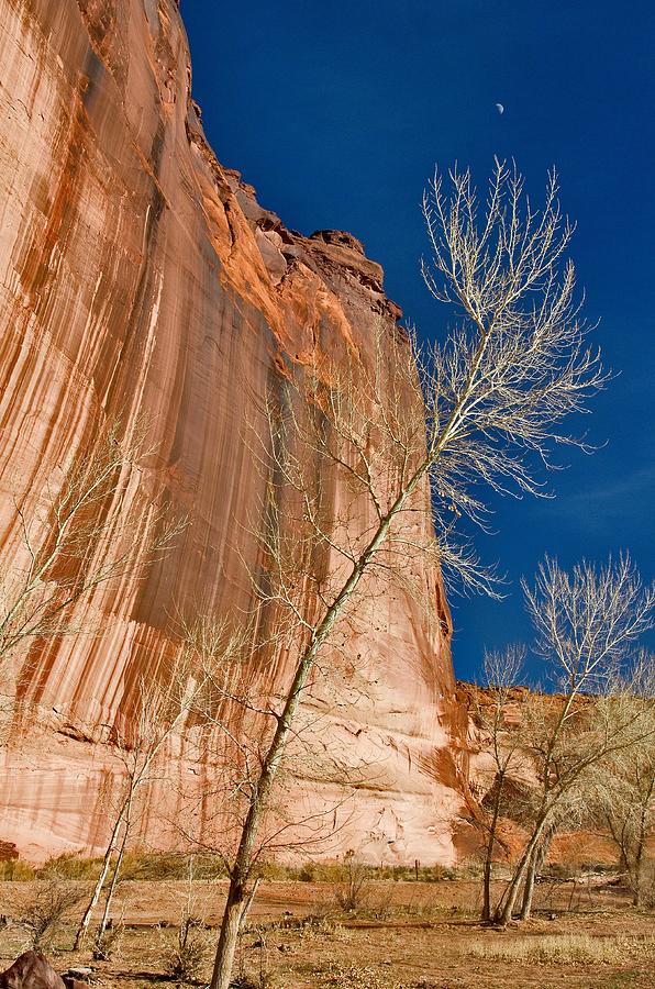 Canyon De Chelly Photograph by Images Of David Costa