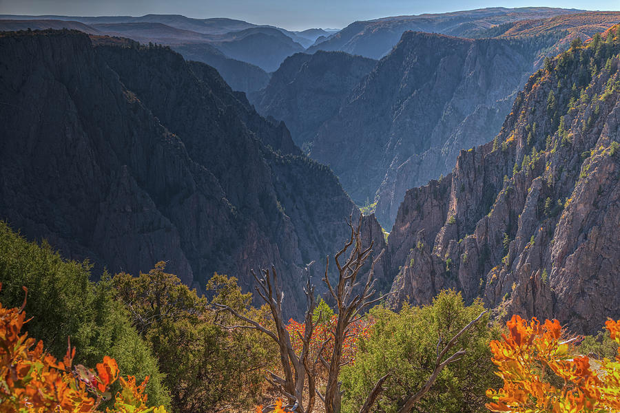 Canyon Greeting by Angelo Marcialis Canyon Greeting by Angelo Marcialis