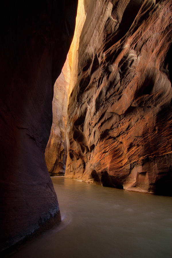 Zion National Park Photograph - Canyon Light by Justin Reznick Photography