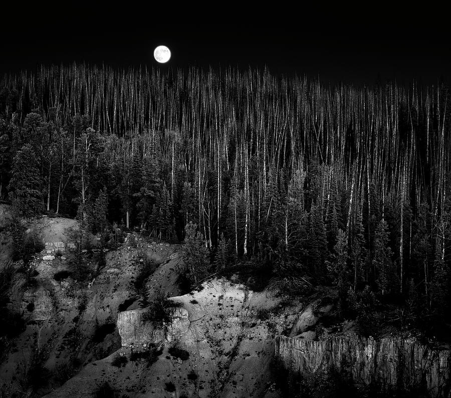 Canyon Moon Photograph by Grant Sorenson
