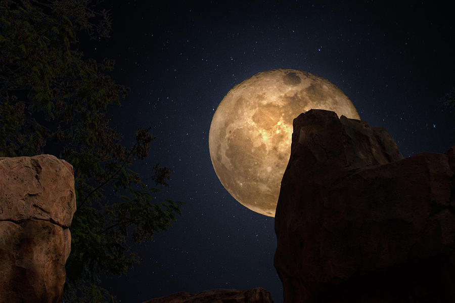 Canyon Moon Photograph by Mark Andrew Thomas