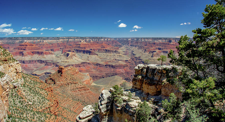 Canyon Overlook is a Grand One Photograph by Marcy Wielfaert