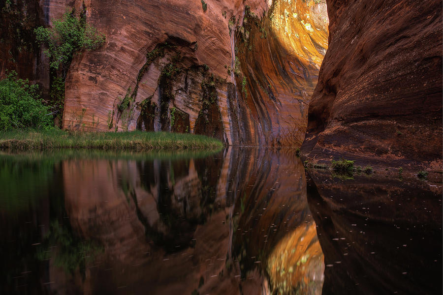 Canyon Reflections Photograph by Dustin LeFevre