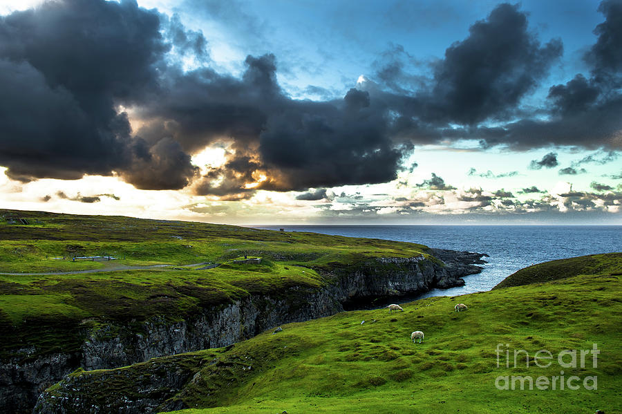 Canyon To Smoo Cave With Flock Of Sheep At The Twilight Atlantic Coast Near Durness In Scotland Photograph by Andreas Berthold
