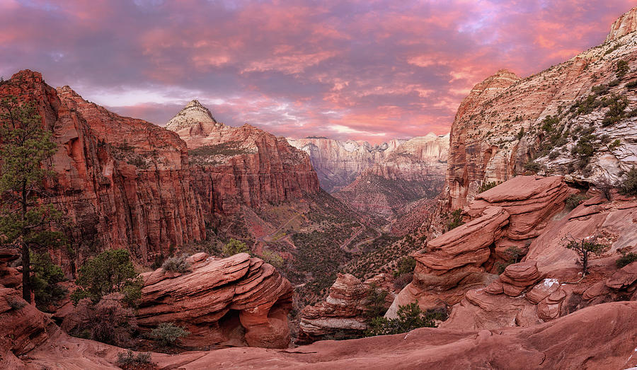 Canyon View in Zion National Park Photograph by Alex Mironyuk
