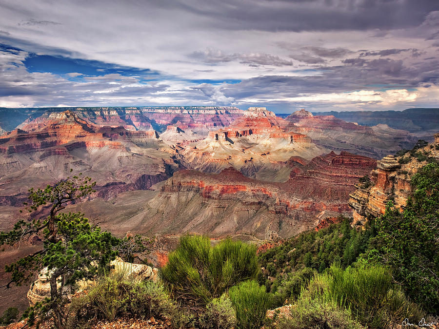 Canyon View Vi Photograph by David Drost - Fine Art America