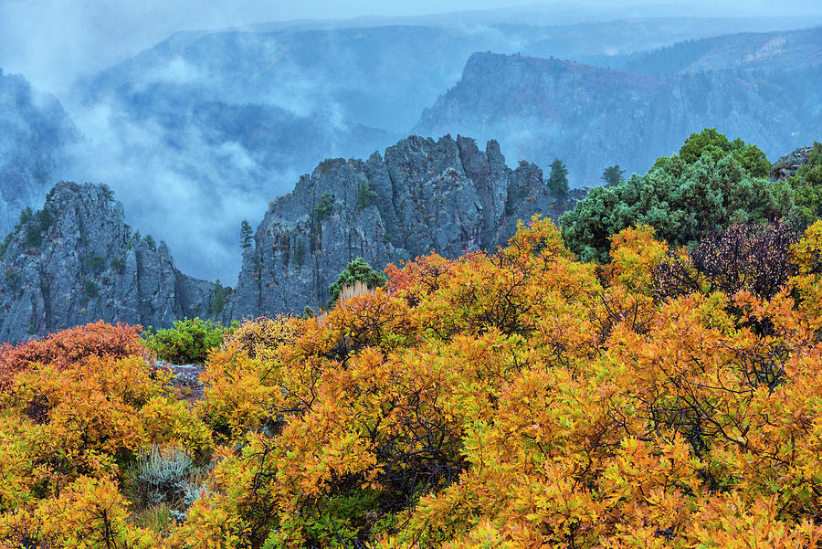 Canyon With Autumn Foliage Digital Art by Heeb Photos