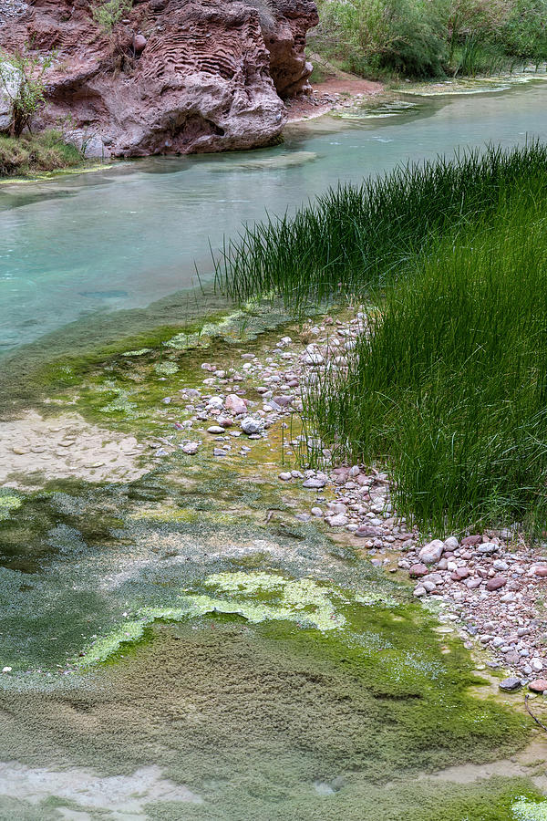 Canyon,color,colorado River,danita Photograph by Judith Zimmerman ...