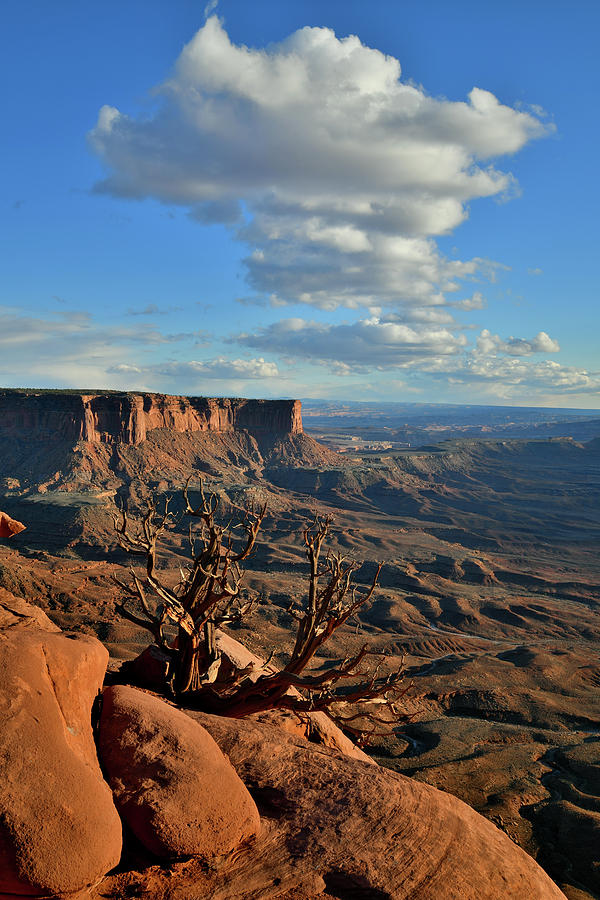 Canyonlands Green River Overlook Photograph by Ray Mathis