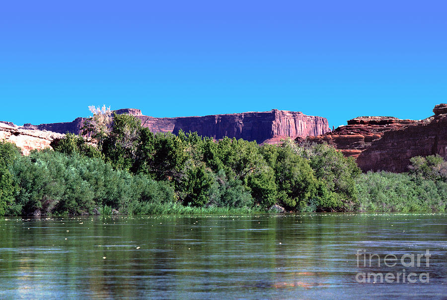 Canyonlands National Park With The Colorado River Reflecting Photograph By Wernher Krutein