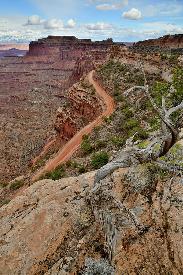 Canyonlands NP Shafer Canyon and Trail Photograph by Ray Mathis