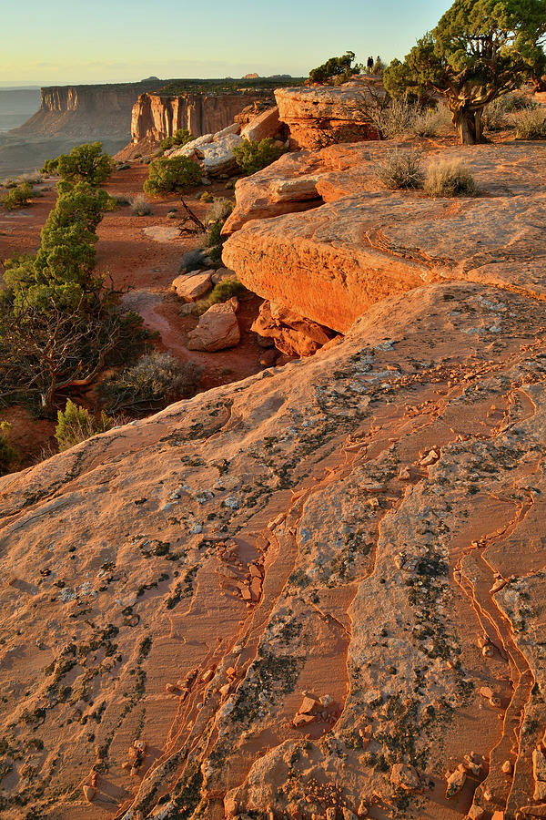 Canyonlands Orange Cliffs at Sunset Photograph by Ray Mathis