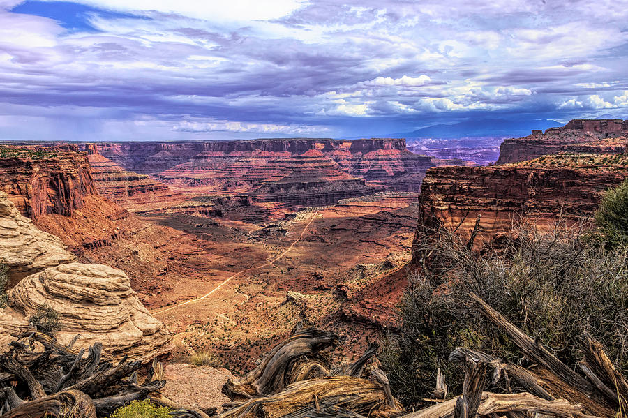 Canyonlands Overlook Photograph by Paul LeSage