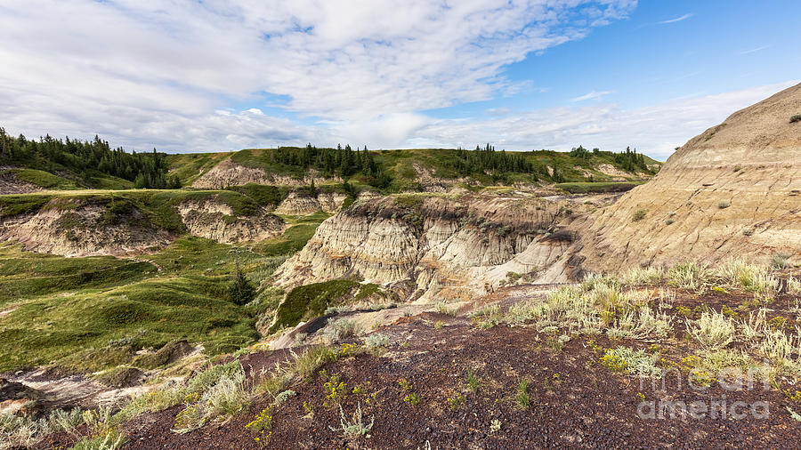 Canyon's Sunken Border by Alma Danison Canyon's Sunken Border by Alma Danison