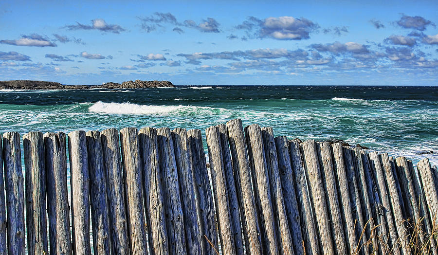 Cape Bonavista coastline fence 2 Photograph by Tatiana Travelways