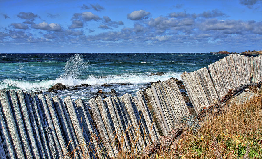Cape Bonavista coastline fence 3 Photograph by Tatiana Travelways