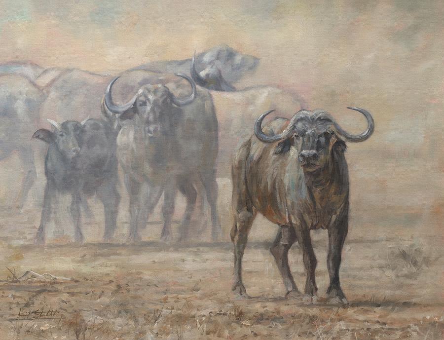 Cape Buffalo, Zambia Painting by David Stribbling