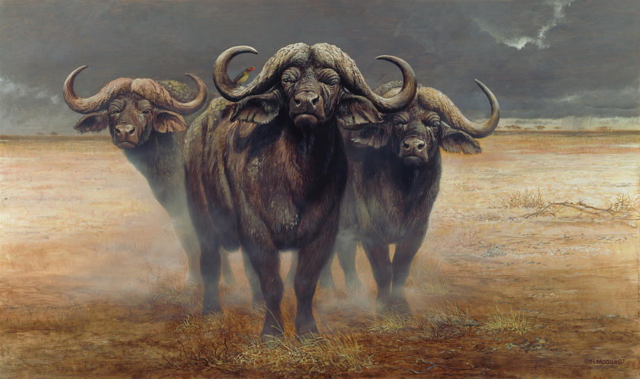 Cape Buffalos Painting by Harro Maass - Fine Art America