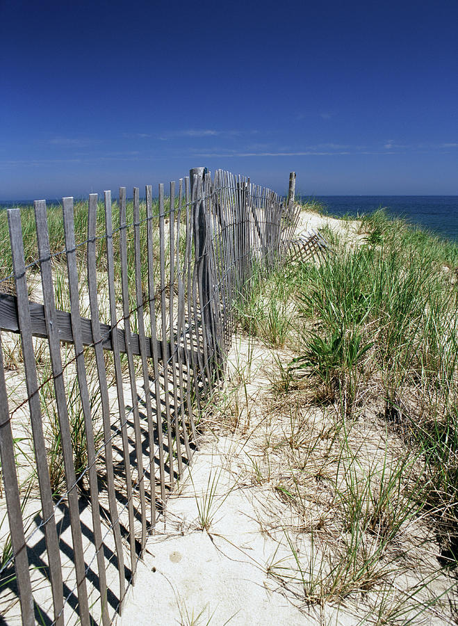 Cape Cod blue Photograph by Michael McCormack