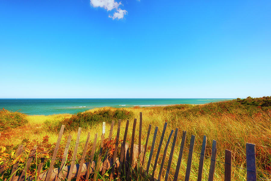 Cape Cod Seashore  Photograph by Dee Browning