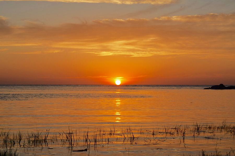 Cape Cod Sunset Photograph by Erin Sheehy Hunt - Fine Art America