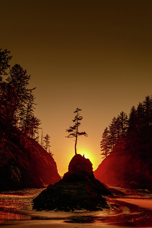 Cape Disappointment Photograph by George Shubin - Fine Art America