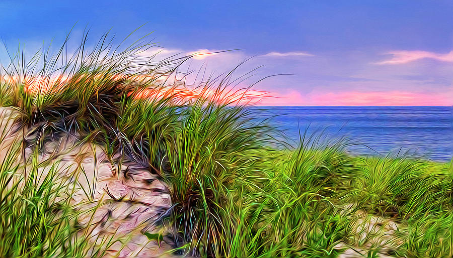 Sunset Photograph - Cape-dune Sunset by Tammy Wetzel