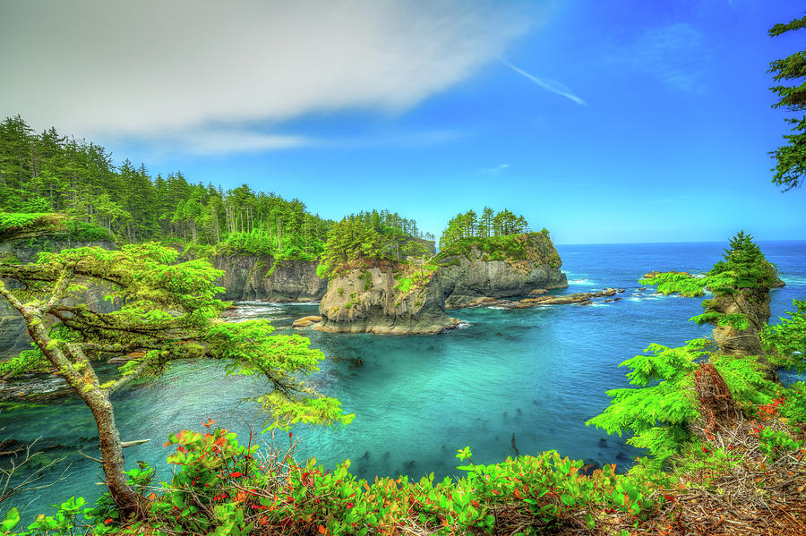 Cape Flattery Photograph by Spencer McDonald