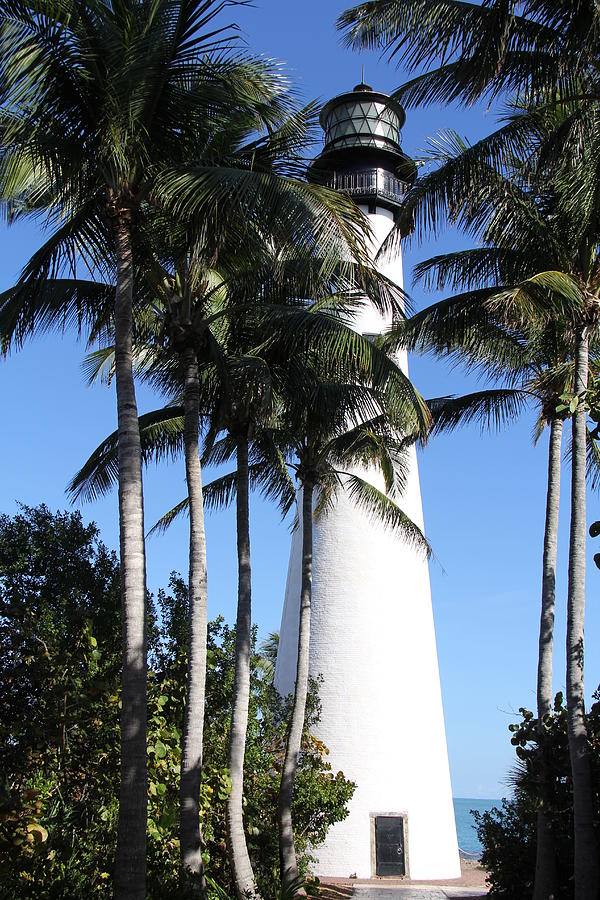 Cape Florida Lighthouse - Key Biscayne, Miami Photograph by Richard Krebs