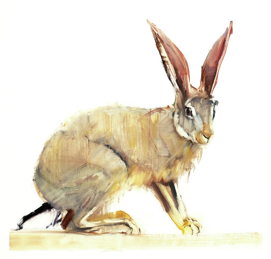 Cape Hare Painting by Mark Adlington